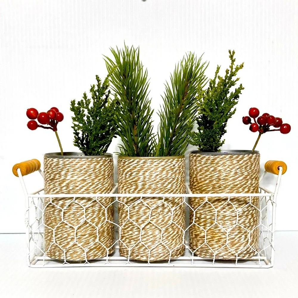 Farmhouse Shabby Chic Chicken Wire Basket Caddy Server 3 Twine Wrapped Cans